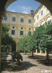 The tree-lined patio at Cordoba's Episcopal Palace
